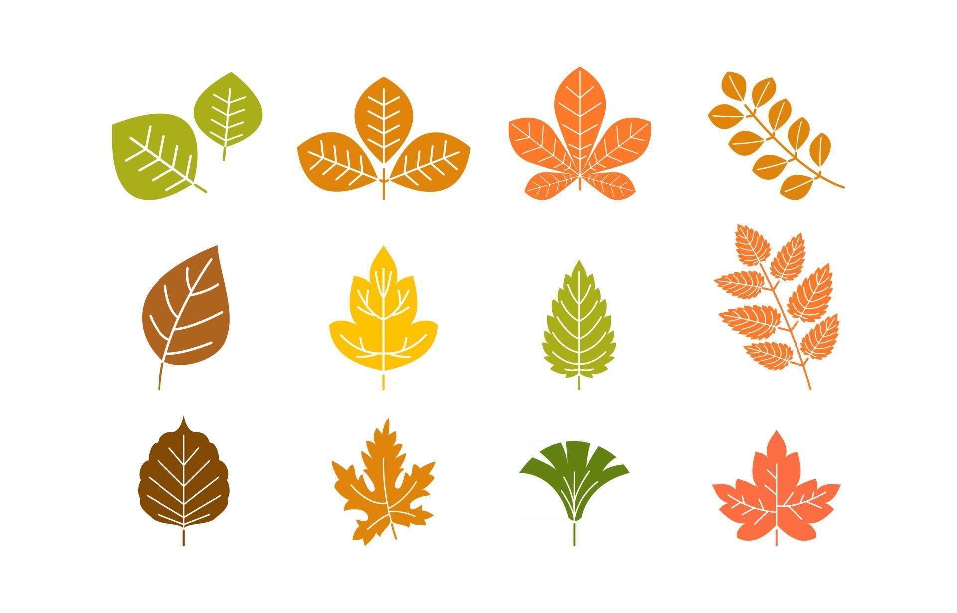 Detail Autumn Leaves Icon Nomer 41