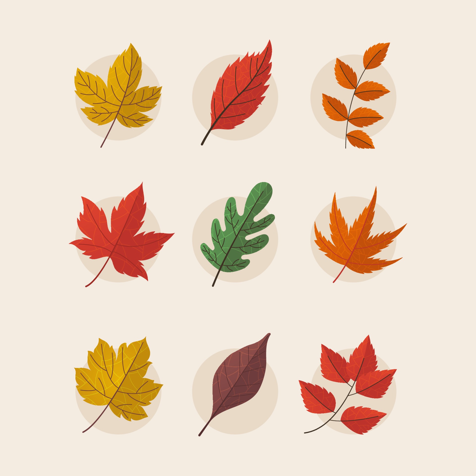 Detail Autumn Leaves Icon Nomer 45