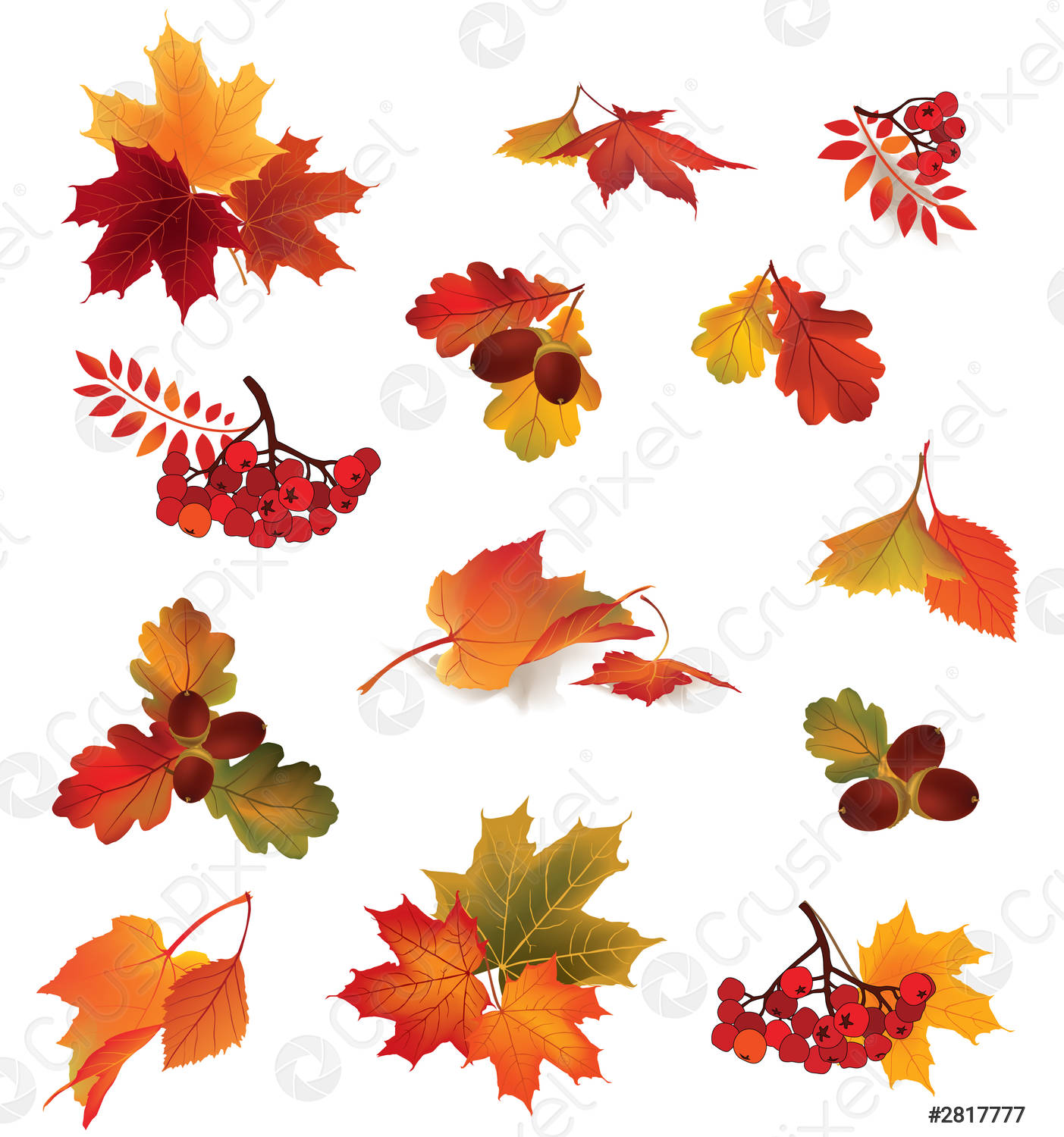 Download Autumn Leaves Icon Nomer 57