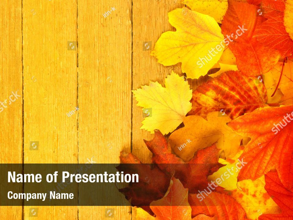Detail Autumn Leaves Powerpoint Template Free Nomer 16