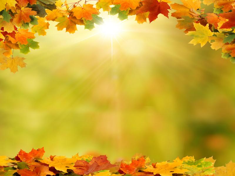 Detail Autumn Leaves Powerpoint Template Free Nomer 22