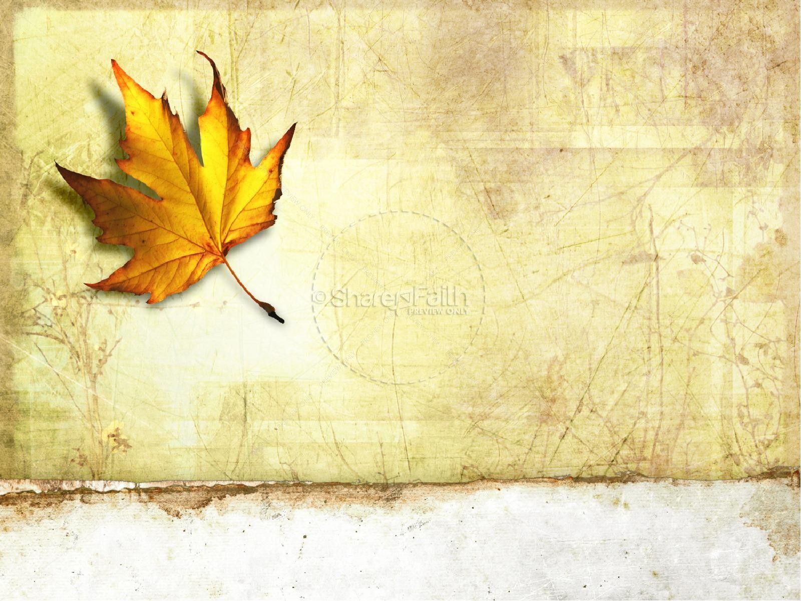 Detail Autumn Leaves Powerpoint Template Free Nomer 23