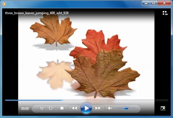 Detail Autumn Leaves Powerpoint Template Free Nomer 29