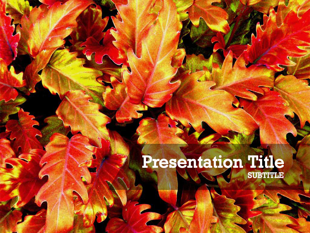 Detail Autumn Leaves Powerpoint Template Free Nomer 33