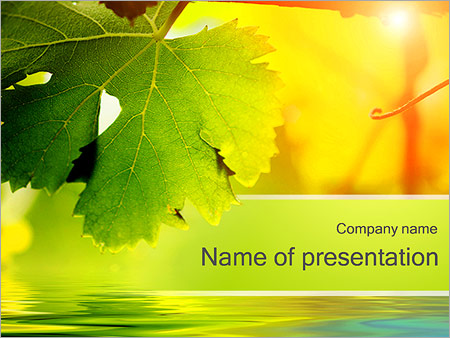 Detail Autumn Leaves Powerpoint Template Free Nomer 5