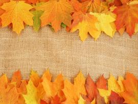 Detail Autumn Leaves Powerpoint Template Free Nomer 44