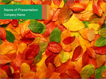 Detail Autumn Leaves Powerpoint Template Free Nomer 55
