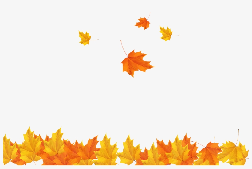 Detail Autumn Leaves Transparent Background Nomer 5