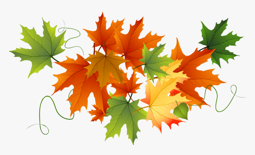 Detail Autumn Leaves Transparent Background Nomer 8