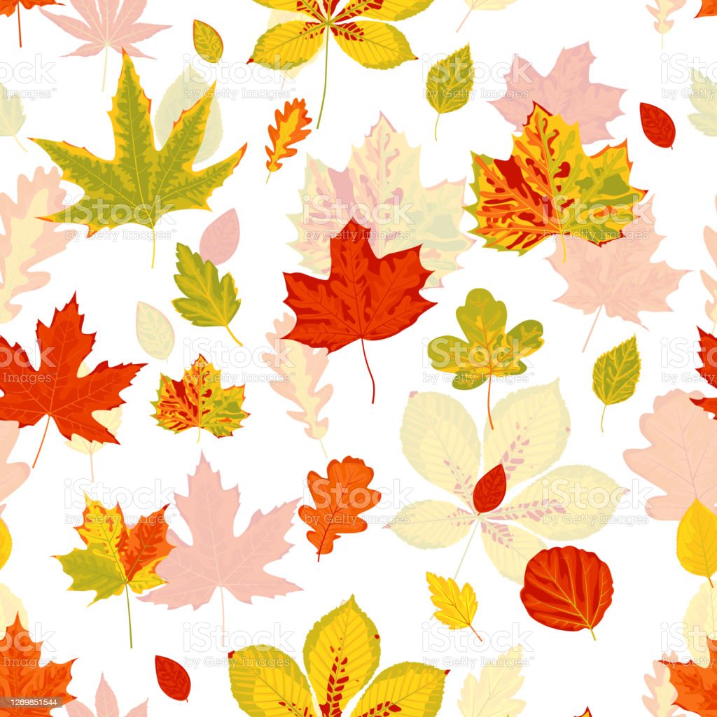 Detail Autumn Leaves Wallpaper Nomer 45