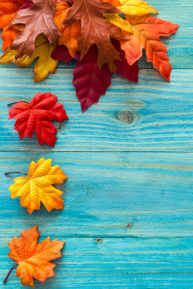 Detail Autumn Leaves Wallpaper Iphone Nomer 12