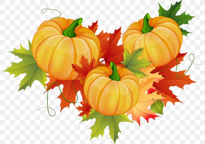 Detail Autumn Pumpkin Clipart Nomer 15