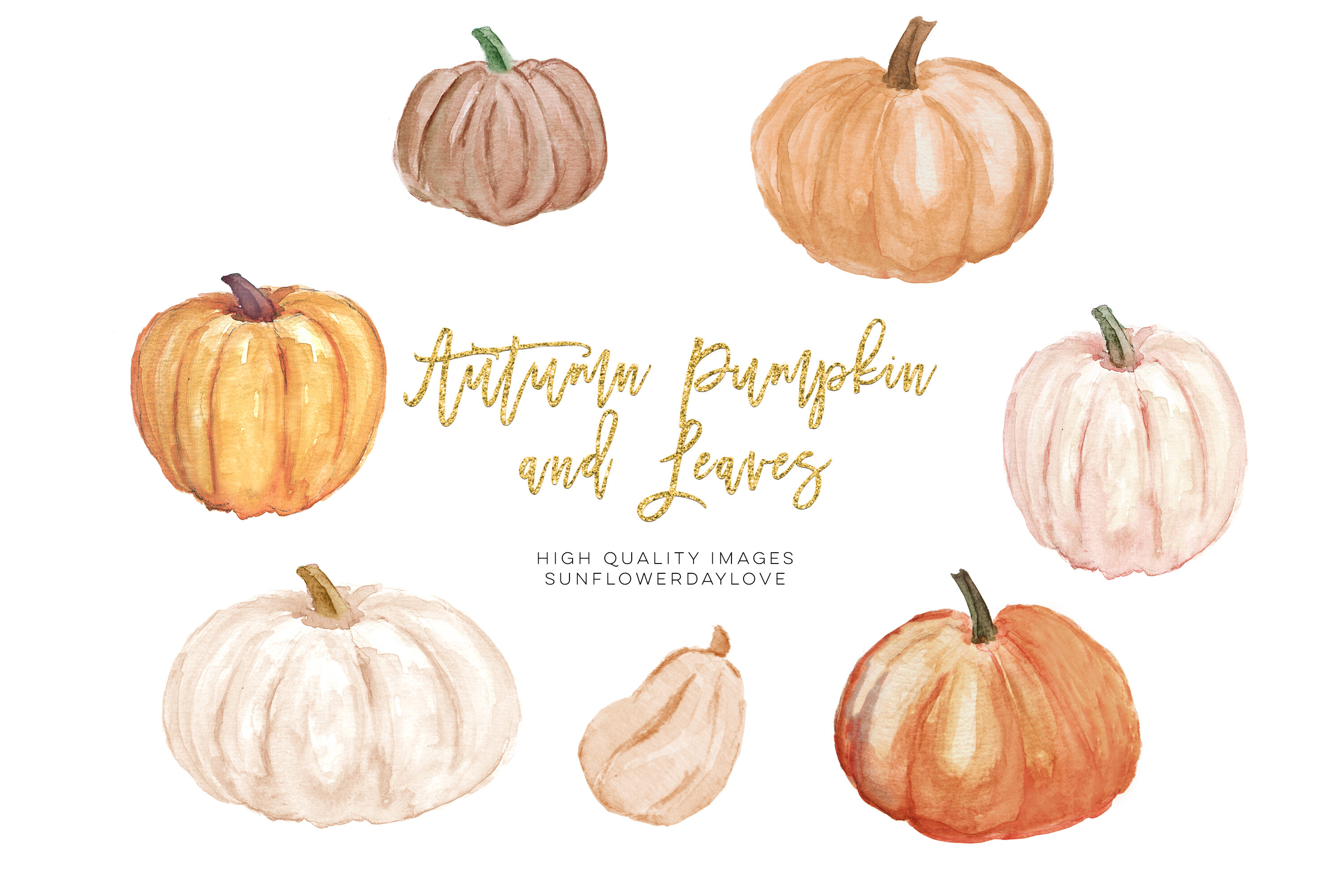 Detail Autumn Pumpkin Clipart Nomer 19