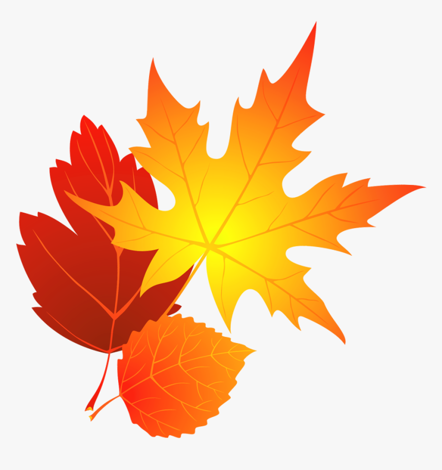 Detail Autumn Transparent Background Nomer 8