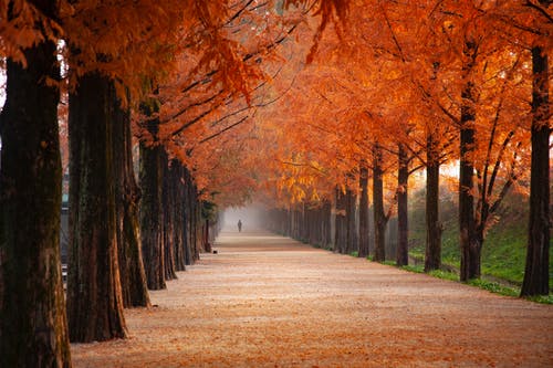 Detail Autumn Wallpaper Hd Nomer 2