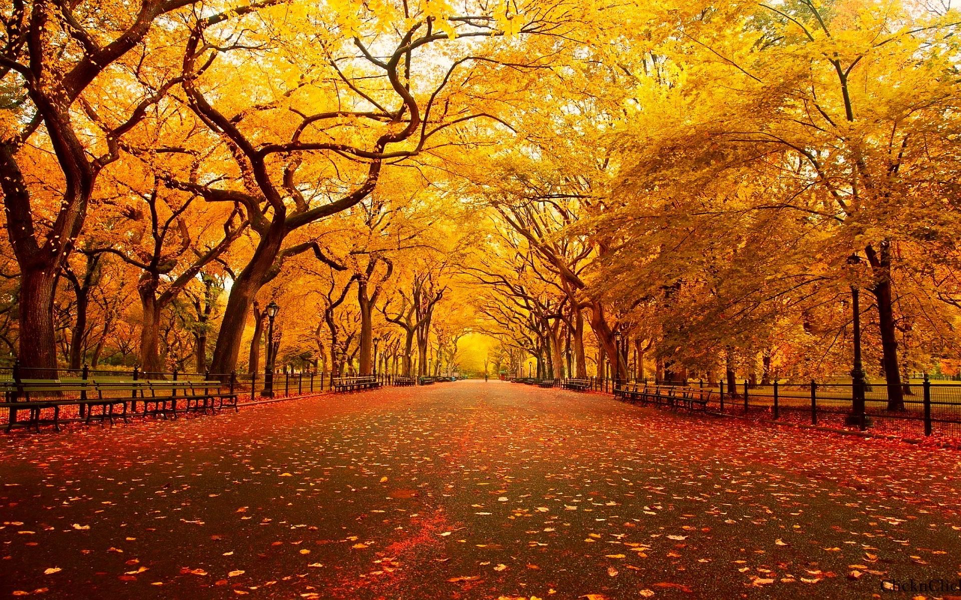 Detail Autumn Wallpaper Hd Nomer 20