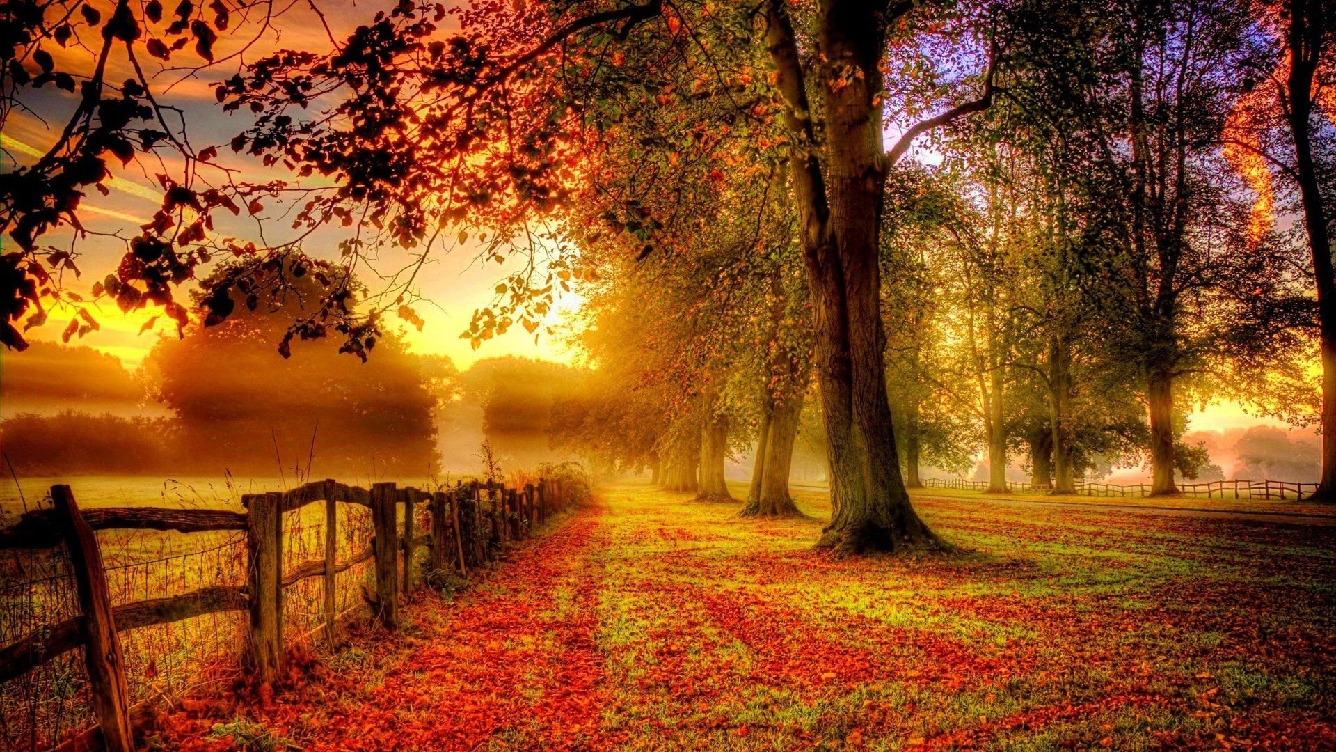 Detail Autumn Wallpaper Hd Nomer 4