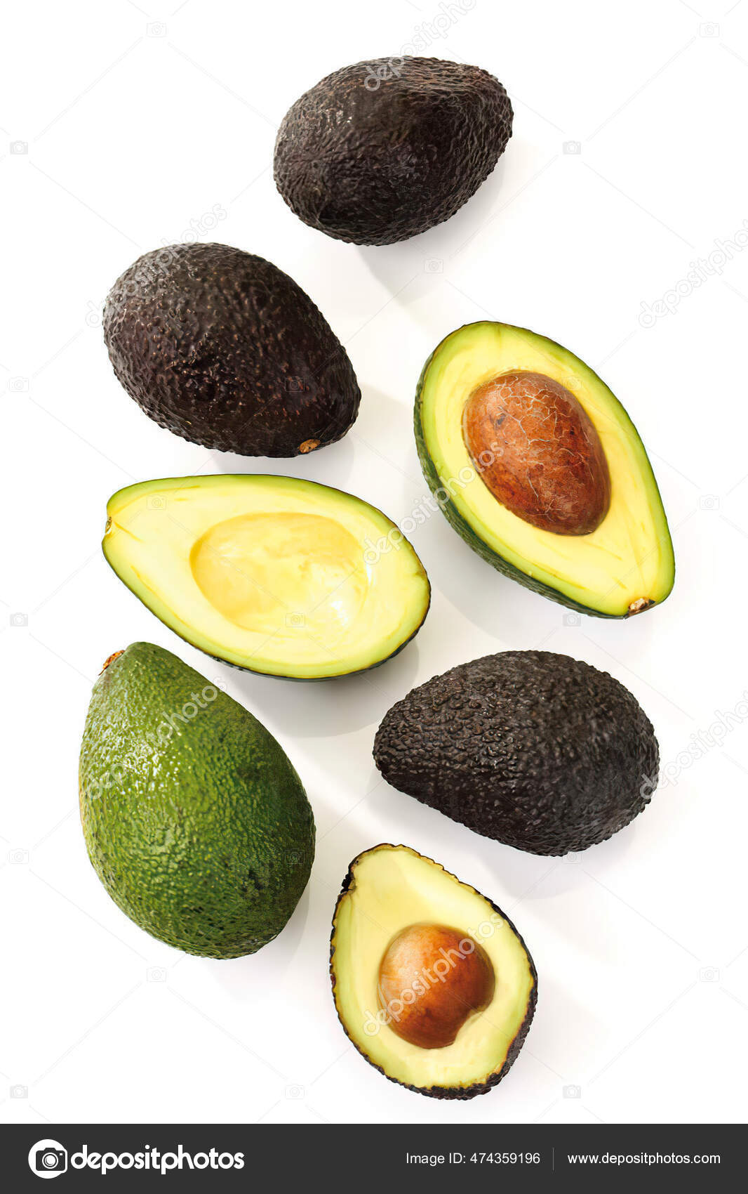 Detail Avacado Picture Nomer 41