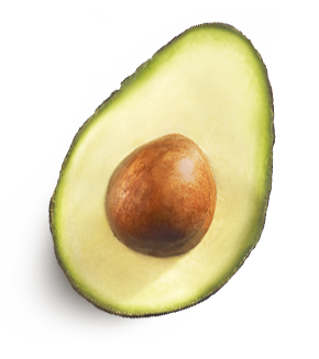 Detail Avacado Png Nomer 21