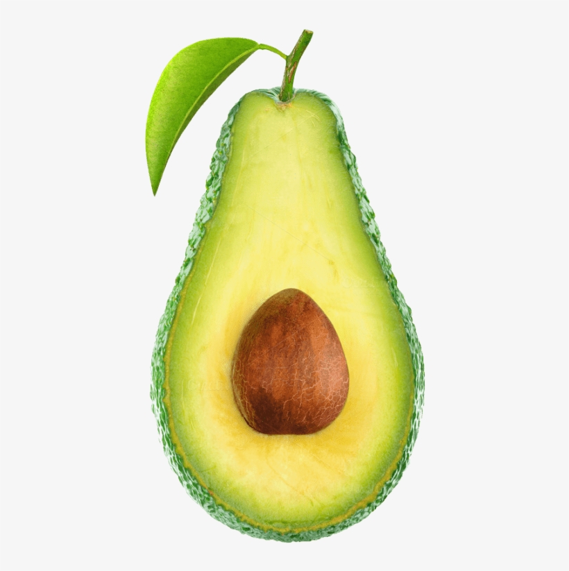 Detail Avacado Png Nomer 38