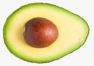 Detail Avacado Png Nomer 5