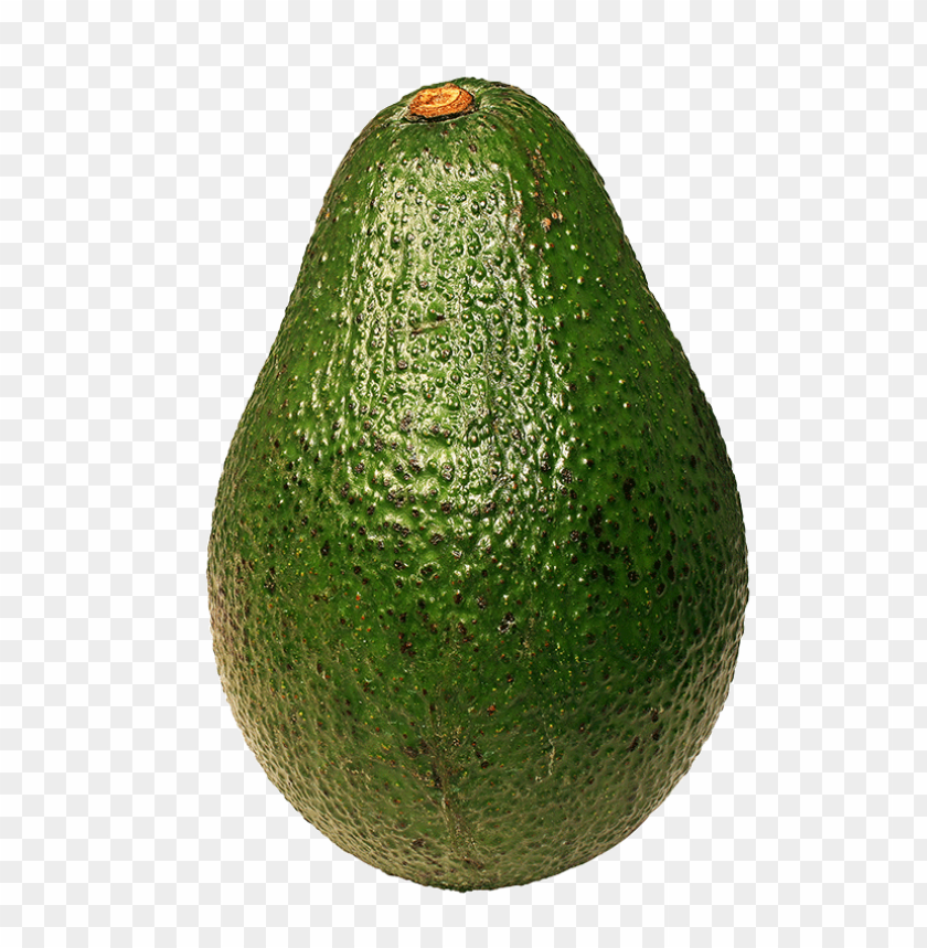 Detail Avacado Png Nomer 46