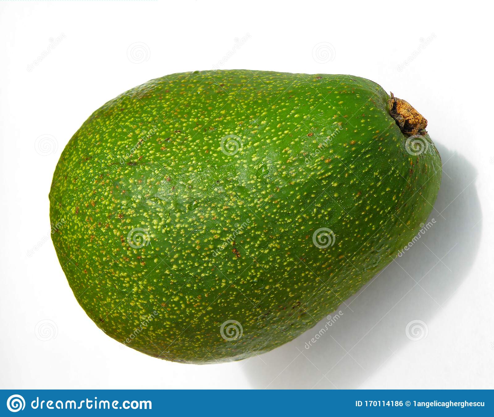 Detail Avacado Png Nomer 52