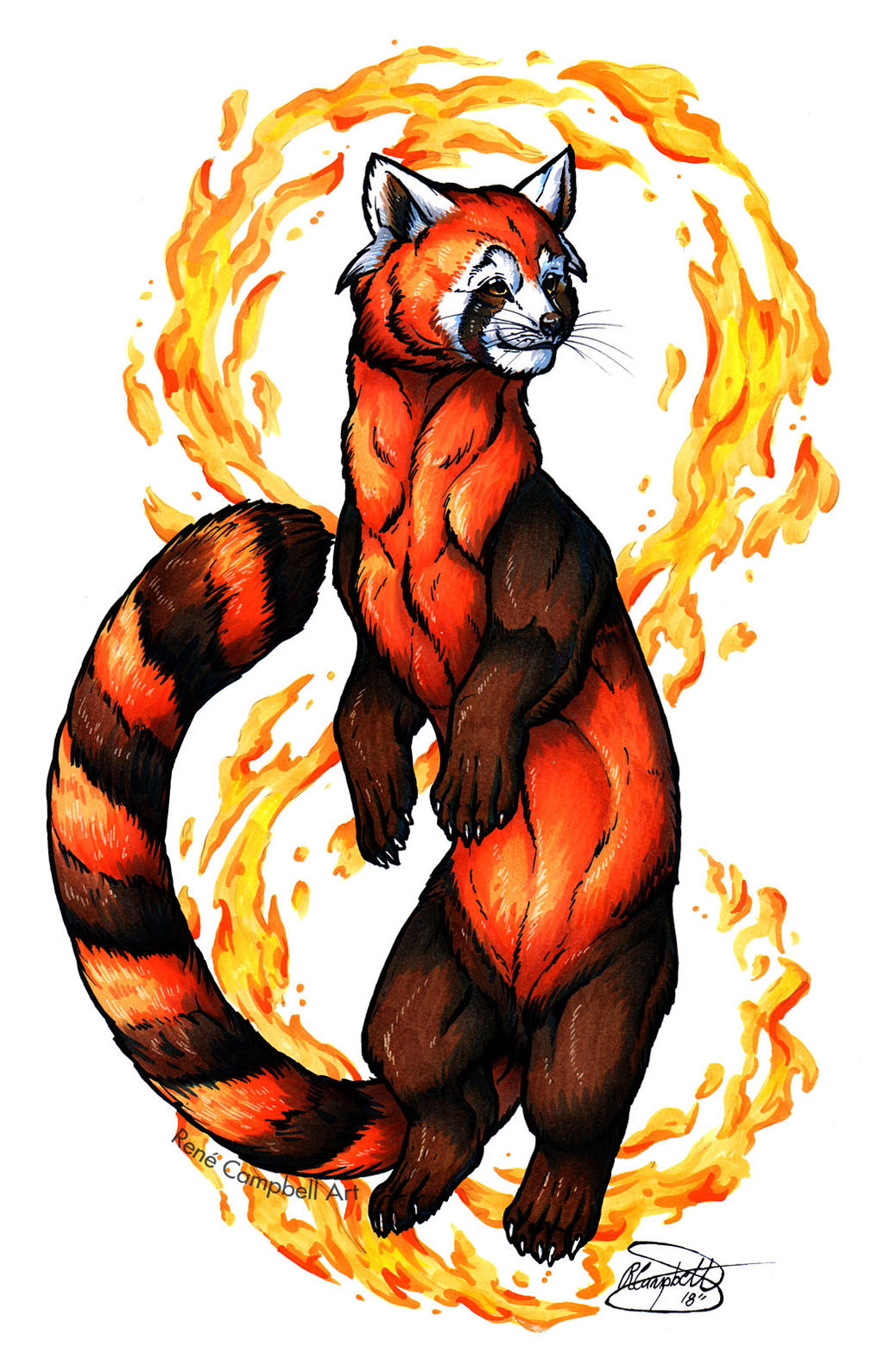 Detail Avatar Fire Ferret Nomer 35