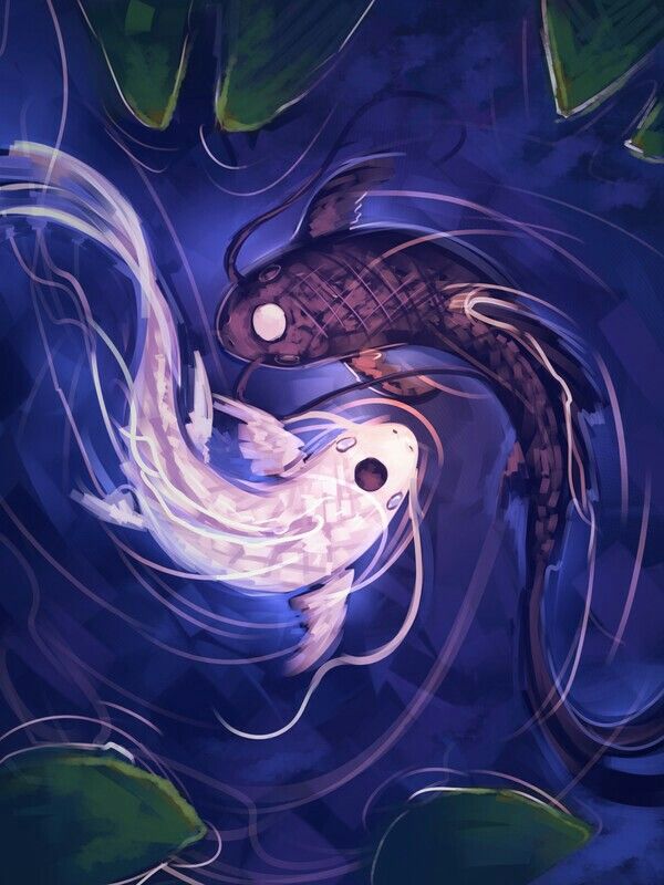 Detail Avatar Yin And Yang Fish Nomer 14