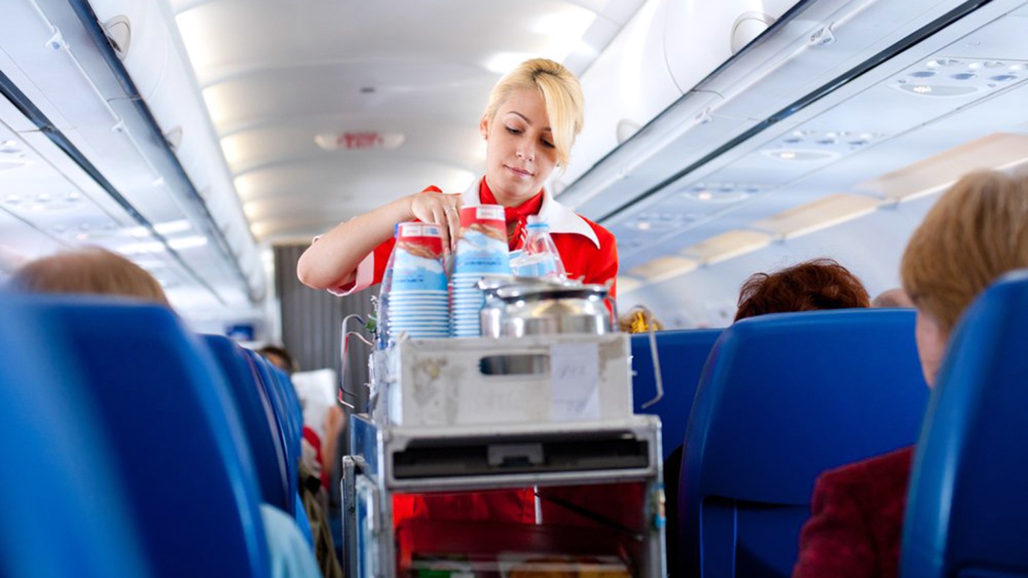 Detail Aviation Terminology For Flight Attendants Nomer 13