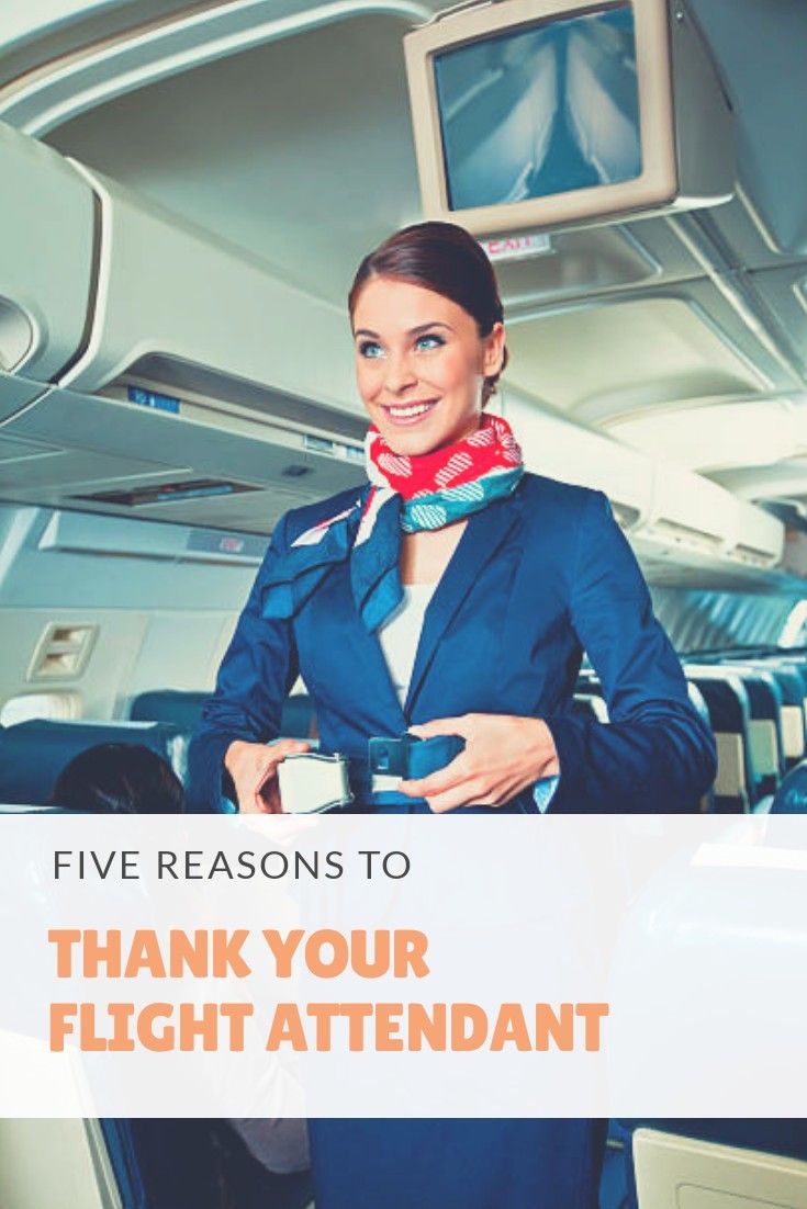 Detail Aviation Terminology For Flight Attendants Nomer 50