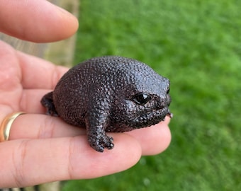 Detail Avocado Black Rain Frog Nomer 44