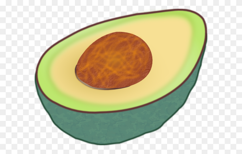 Detail Avocado Clipart Free Nomer 31