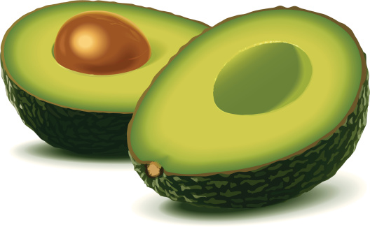 Detail Avocado Clipart Free Nomer 52