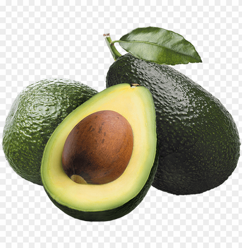 Detail Avocado Free Image Nomer 33