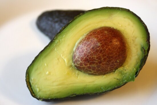 Detail Avocado Free Image Nomer 49