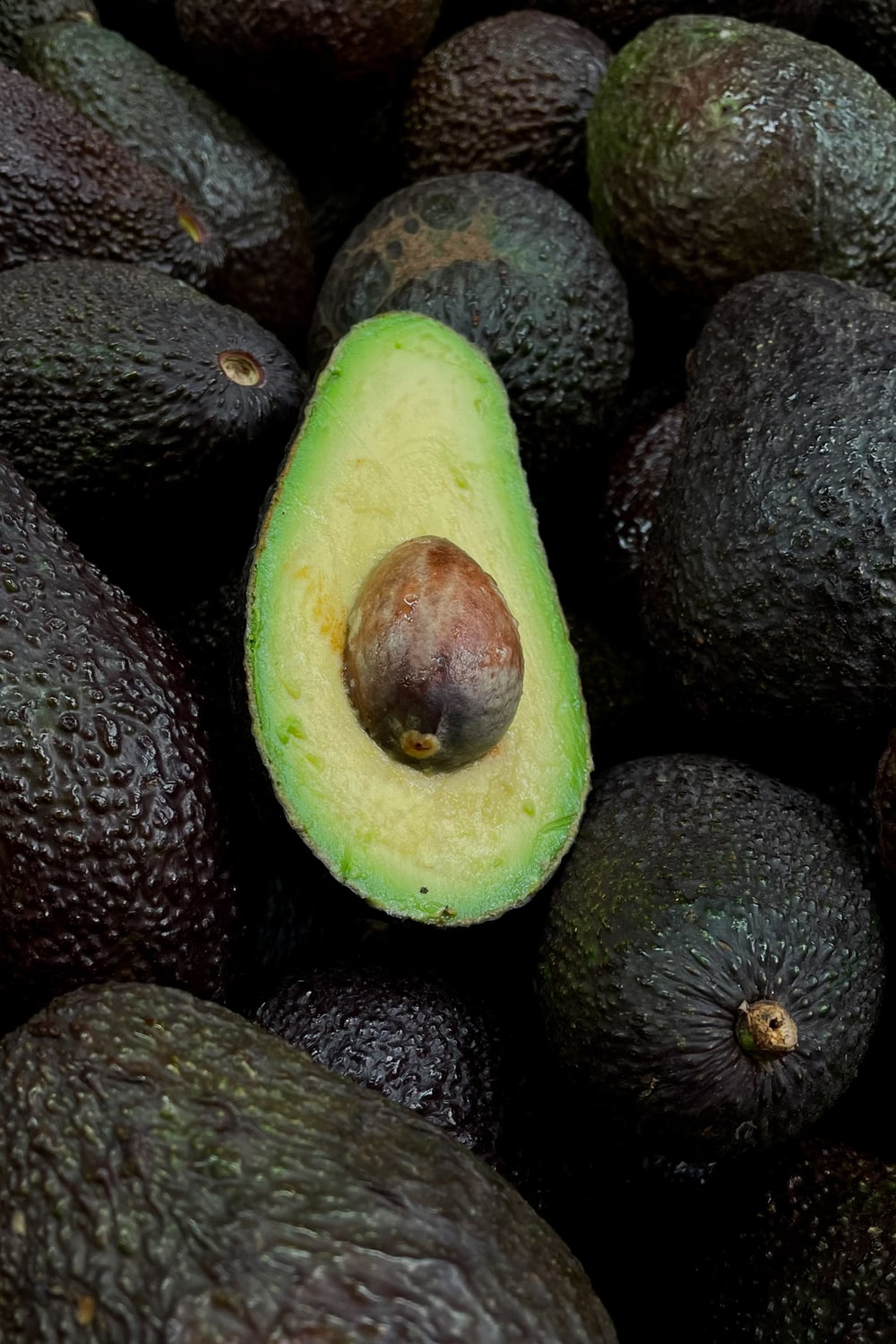 Detail Avocado Fruit Images Nomer 42