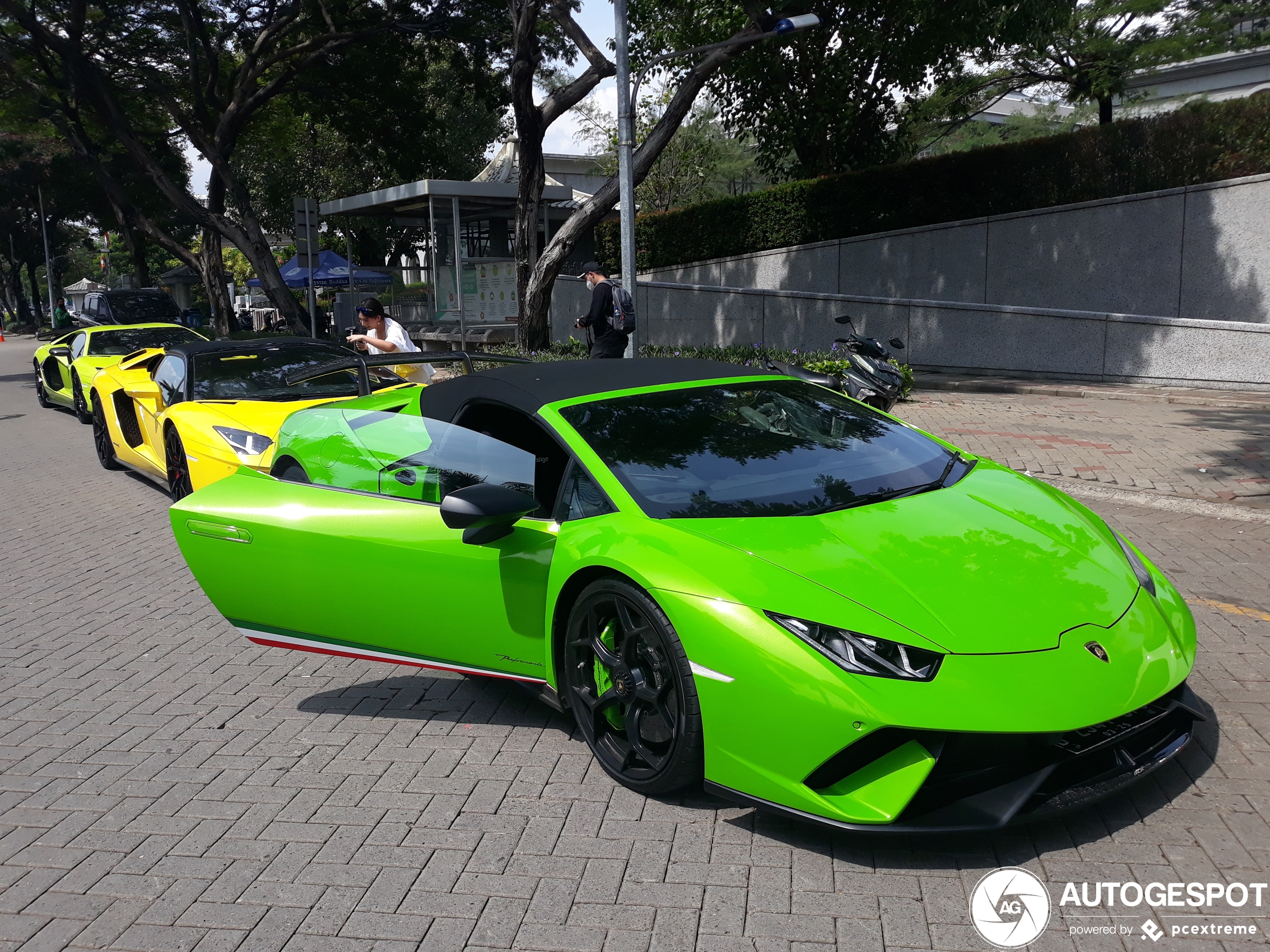 Detail Avocado Green Lamborghini Nomer 15