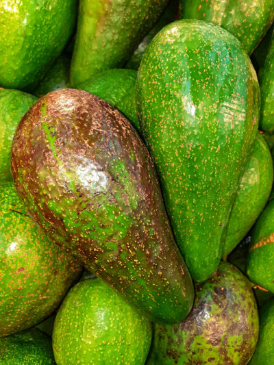 Detail Avocado Images Nomer 45