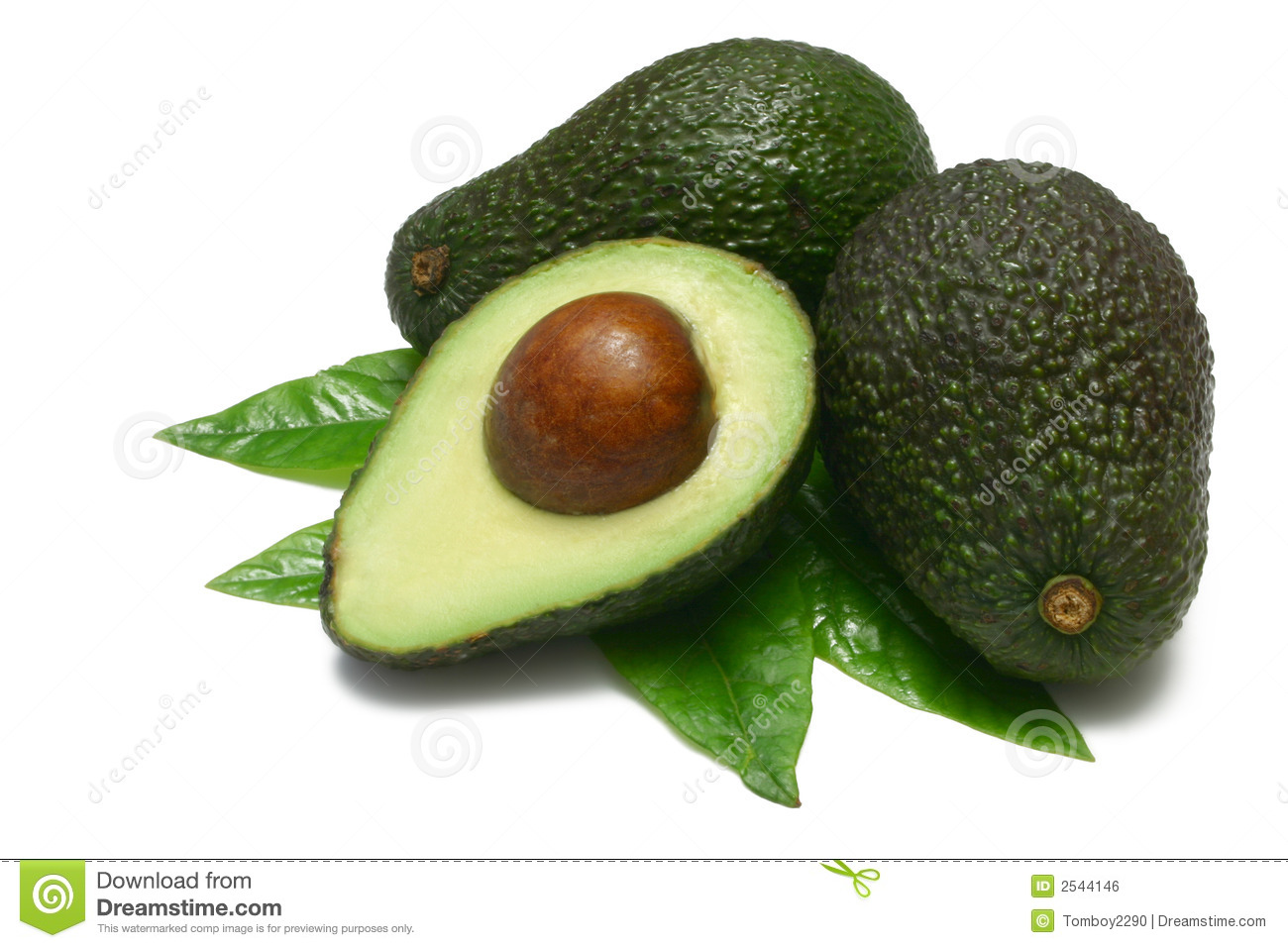 Detail Avocado Images Free Nomer 12