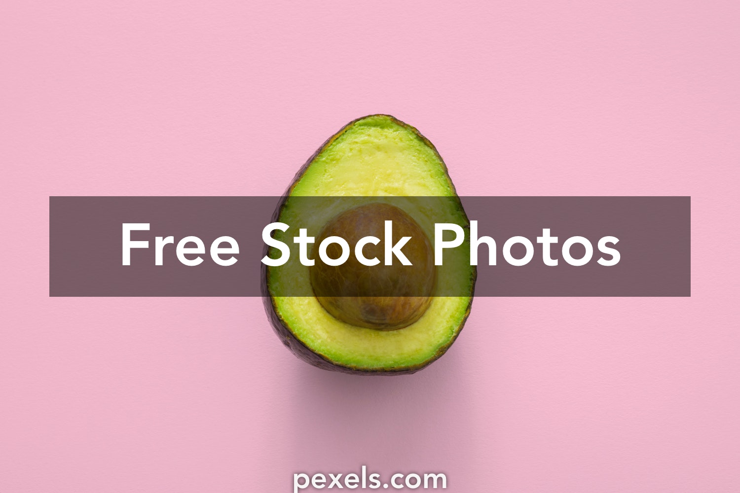 Detail Avocado Images Free Nomer 35