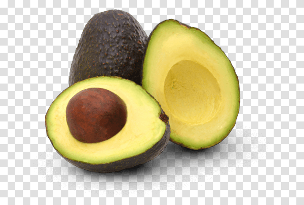 Detail Avocado Images Free Nomer 42