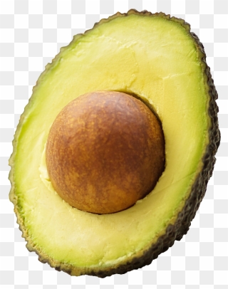 Detail Avocado Images Free Nomer 43