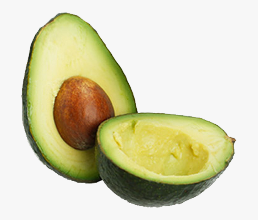 Detail Avocado Images Free Nomer 46