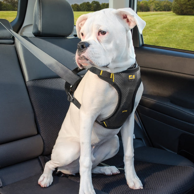 Detail Avocado Leash Seat Belt Nomer 32