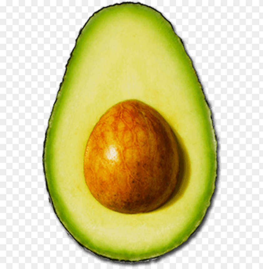 Detail Avocado No Background Nomer 2