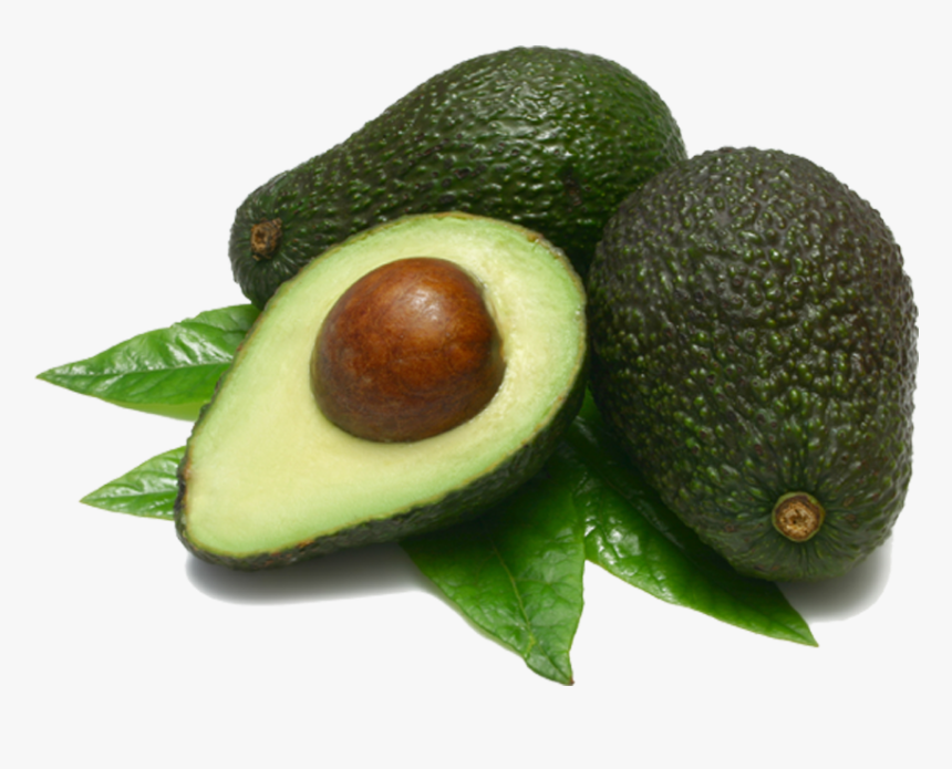Detail Avocado No Background Nomer 12