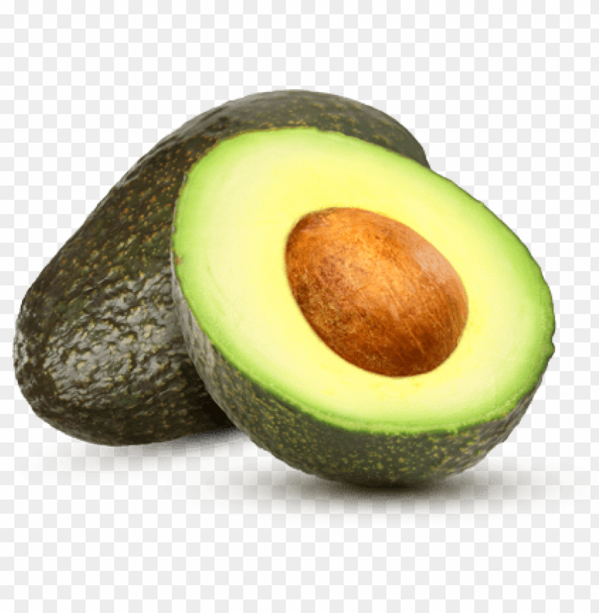 Detail Avocado No Background Nomer 16