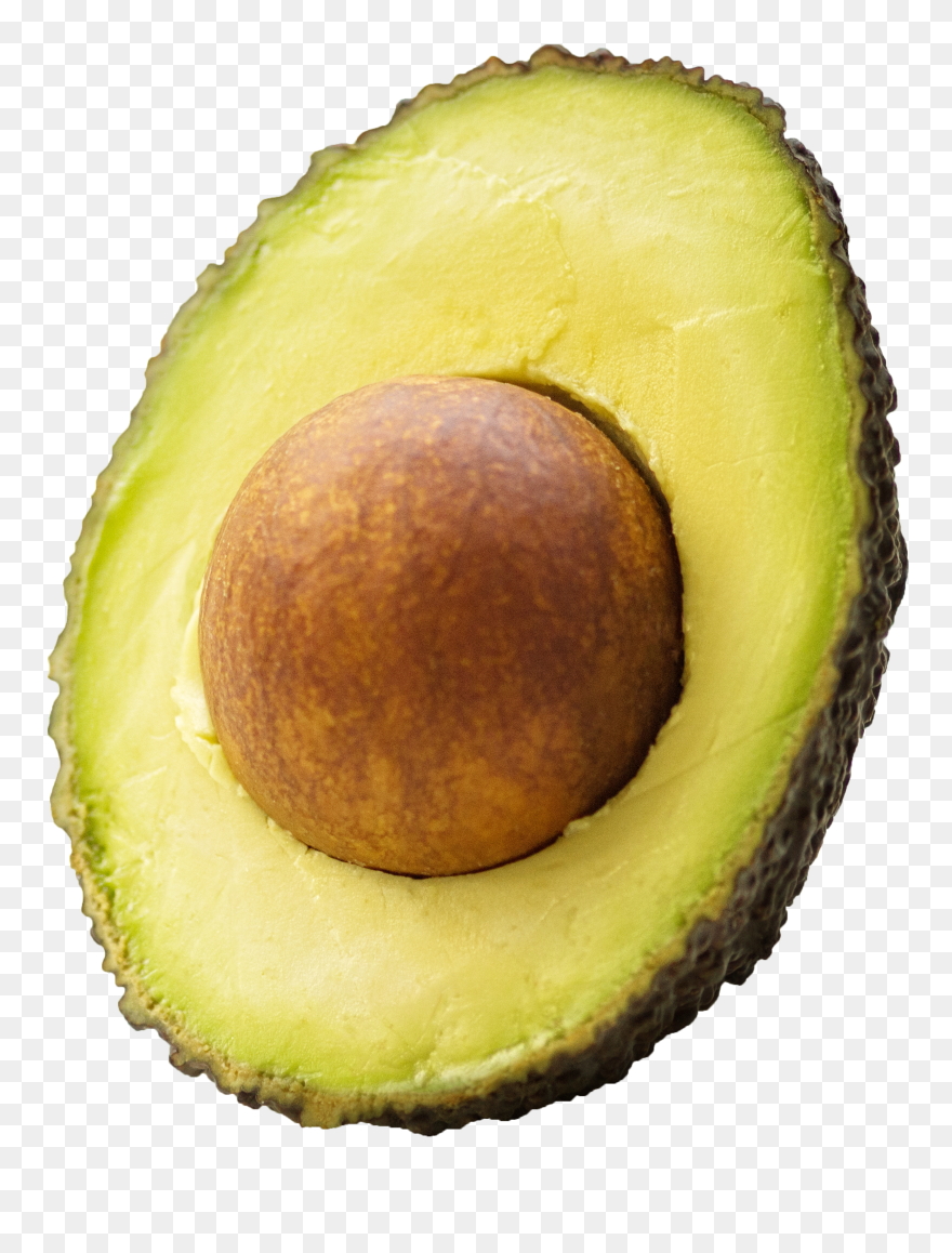 Detail Avocado No Background Nomer 28