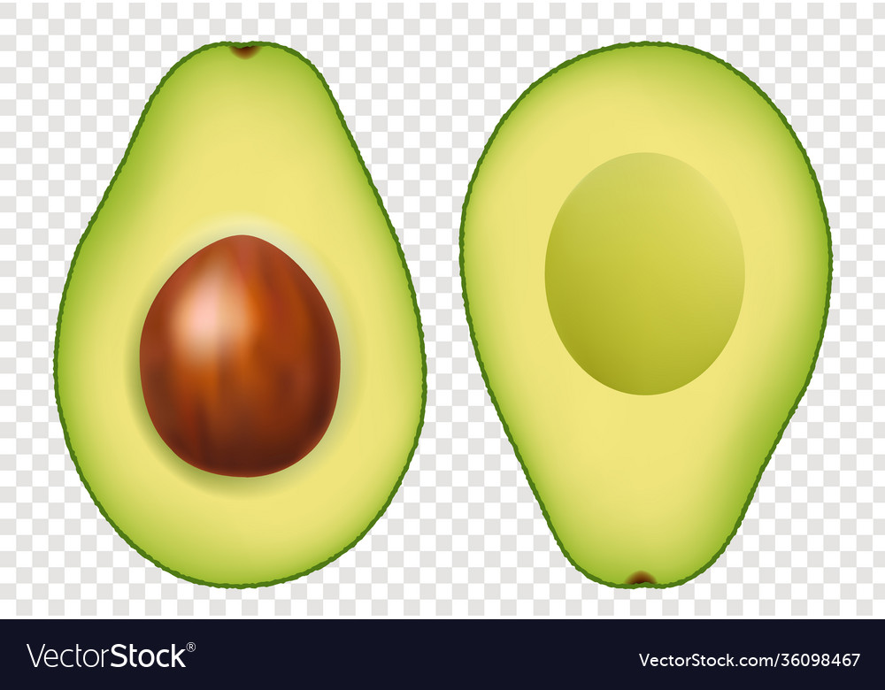 Detail Avocado No Background Nomer 29